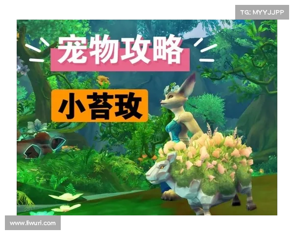 魔兽世界小宠物25级升级攻略 魔兽世界小宠物25级升级攻略